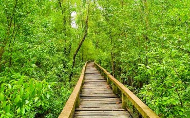 টেংরাগিরি ইকোপার্ক